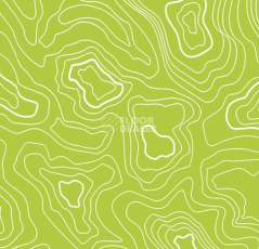 Линолеум Forbo Sarlon Graphic 15dB 928T4315 lime topography фото 1 | FLOORDEALER